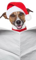 Christmas animals Themes poster