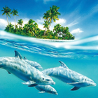 Dolphin Wallpapers آئیکن