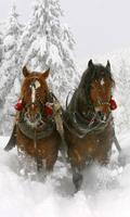 Accueil Cheval Fonds d'écran capture d'écran 2