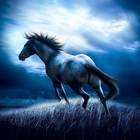 Horse HD Wallpapers Themes-icoon