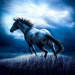 Horse HD Wallpapers Themes