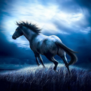 Horse HD Wallpapers Themes-APK