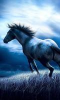 Horse HD Wallpapers Themes syot layar 1