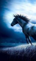 Animaux Wild Horse Wallpapers capture d'écran 1