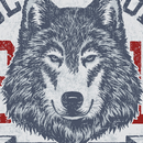 Wolfs HD Themes-APK