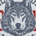 Wolfs HD Themes ikona