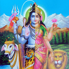 Gowri Viratham icon