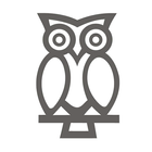 Owl Aerospace simgesi