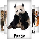 Wild Animals Cartoon Wallpapers APK