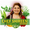 Chef Shireen Anwar Recipes HD
