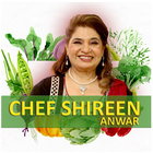 Chef Shireen Anwar Recipes HD 图标