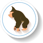 ikon A Trotting Ape