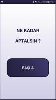 Ne Kadar Aptalsın ? पोस्टर