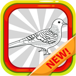 Aneka Suara Perkutut