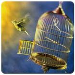 Mancing Burung Lepas