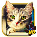Cute Lovely Cat APUS Live Wallpaper APK