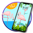 Charming Flamingo — APUS Live 