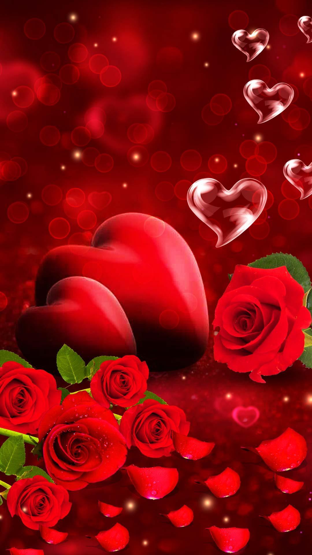 Red Rose Live Wallpaper APK for Android Download Red Rose Live Wallpaper APK for Android Download
