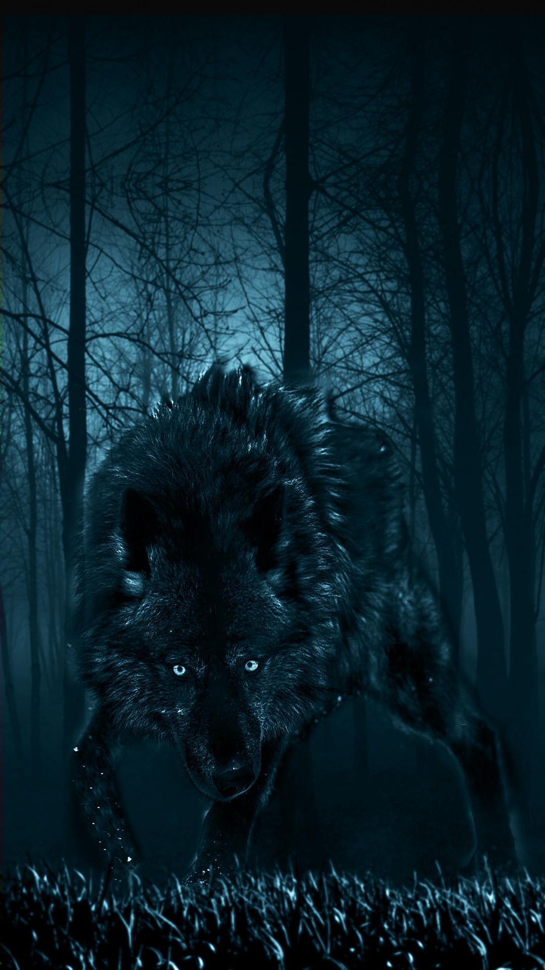 Featured image of post Hintergrund Wolf Bilder Galaxy Hintergrundbilder Wolf Wolf ist dein geisttier und du willst seine f hrung wohin du auch gehst