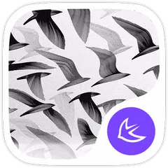 Color in black and white theme APK download