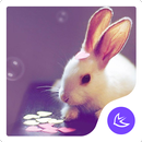 Cute-APUS Launcher theme APK