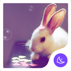 Cute-APUS Launcher theme アイコン