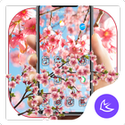 Cherry Blossom APUS Launcher t ícone