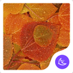 ”Autumn-APUS Launcher theme