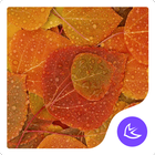 Autumn-APUS Launcher theme ikon