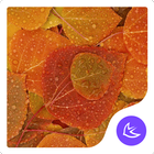 Autumn-APUS Launcher theme ไอคอน