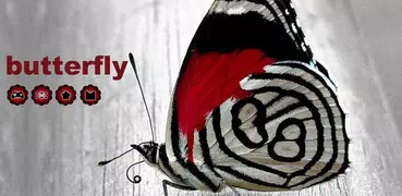 蝶の夢のテーマでAPU&HD壁紙