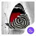 Butterfly Theme