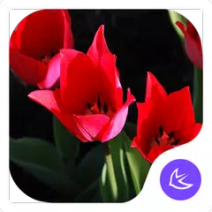 Gorgeous-APUS Launcher theme APK download