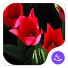 Gorgeous-APUS Launcher theme icône