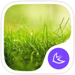 Grass-APUS Launcher theme APK 下載