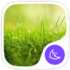 Grass-APUS Launcher theme 图标