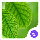 Vert|APUS Launcher thème icône