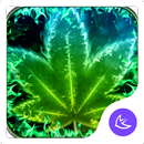 Shine Green Leaf Theme & HD wa APK