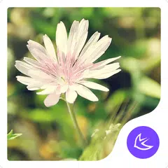 Daisy-APUS Launcher theme アプリダウンロード