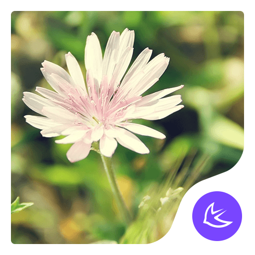 Daisy-APUS Launcher