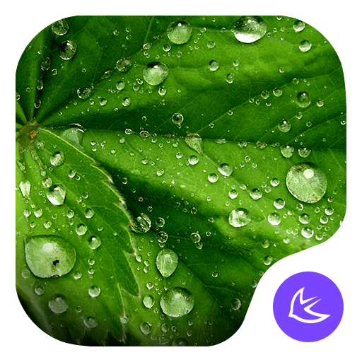 Green-APUS Launcher theme