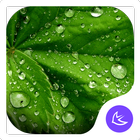 Green-APUS Launcher theme أيقونة