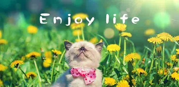 Enjoy Life-APUS Launcher theme