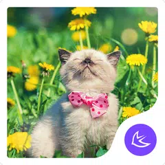 Enjoy Life-APUS Launcher theme APK download