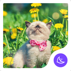 Enjoy Life-APUS Launcher theme icône
