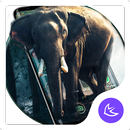 Elephant APUS Launcher theme APK