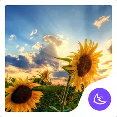 Sunflower Sunshine Beauty -APU APK 下載