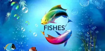 Cartoon  Lovely Fishes-APUS La