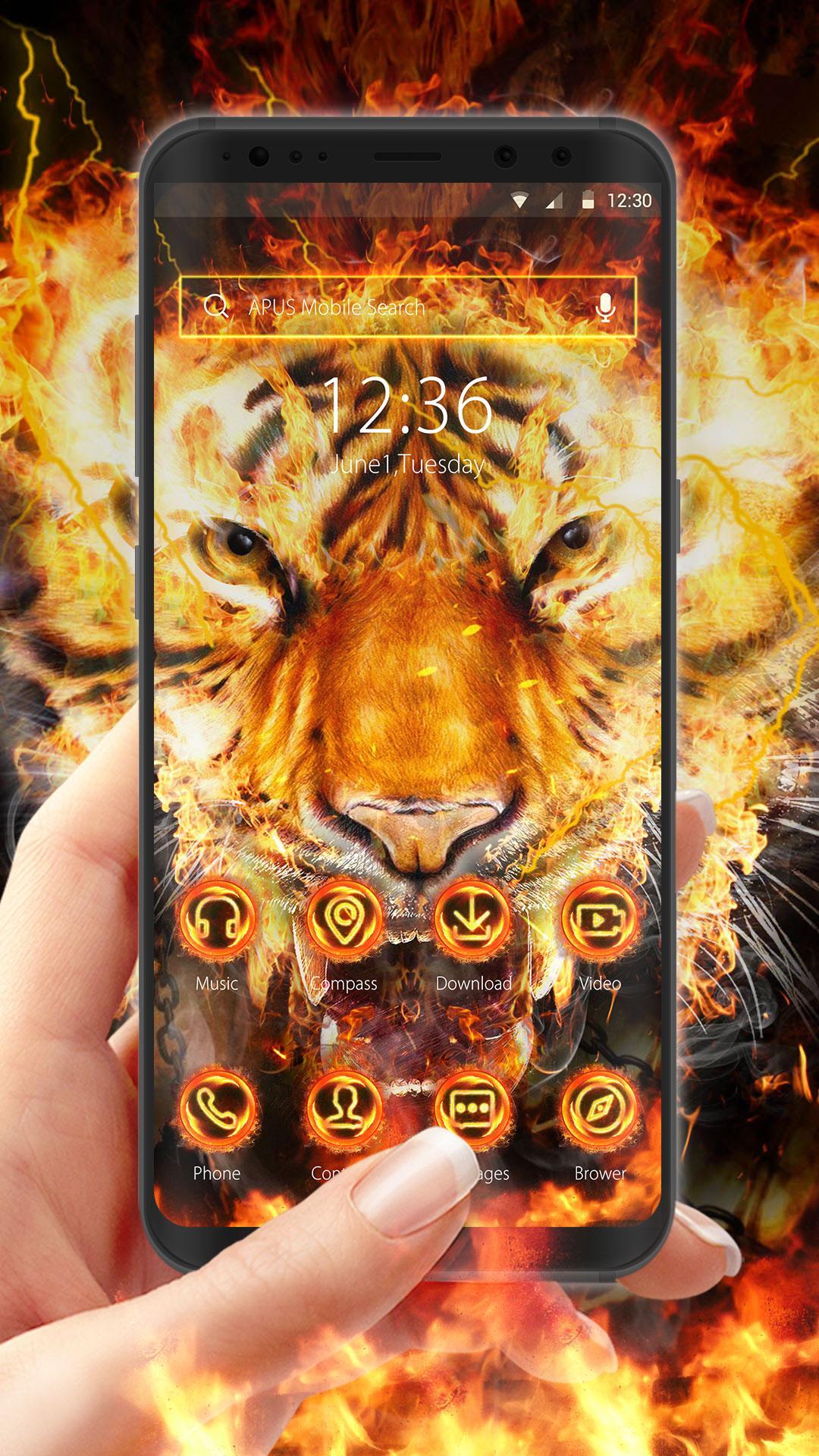 Terkeren 30 Gambar Harimau Api Keren Kumpulan Gambar Keren