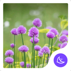 Flower-APUS Launcher theme icône